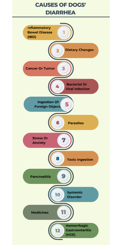 Infographics causes of a dogs diarrhea